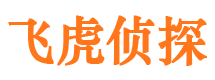 大城侦探公司